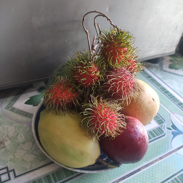 Mâm ngũ quả số 40